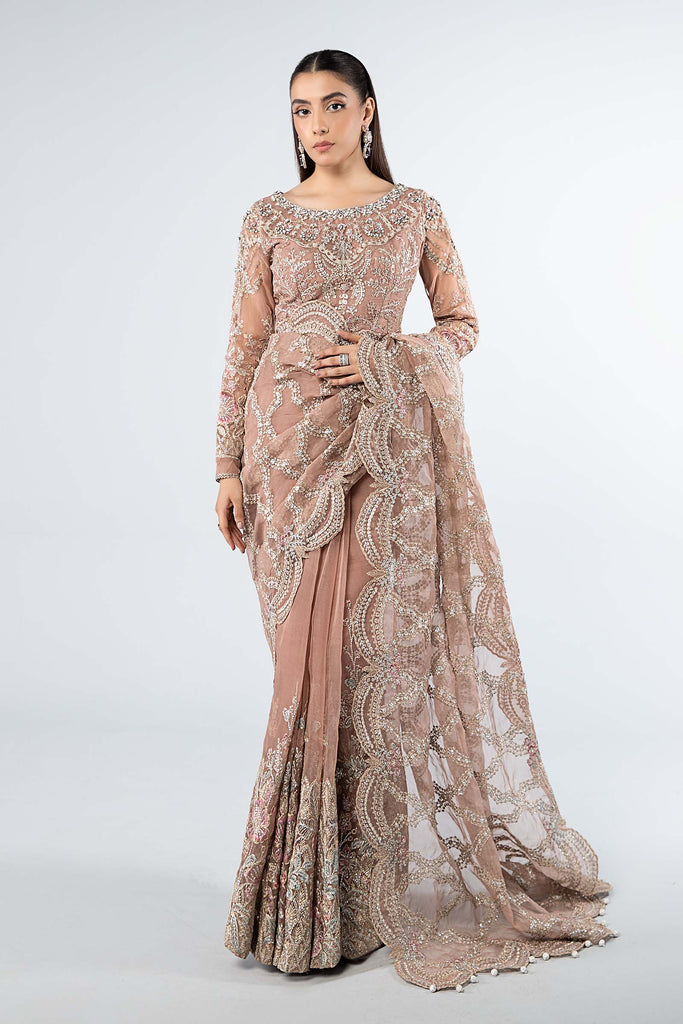 Embroidered Organza Saree | SF-W24-61